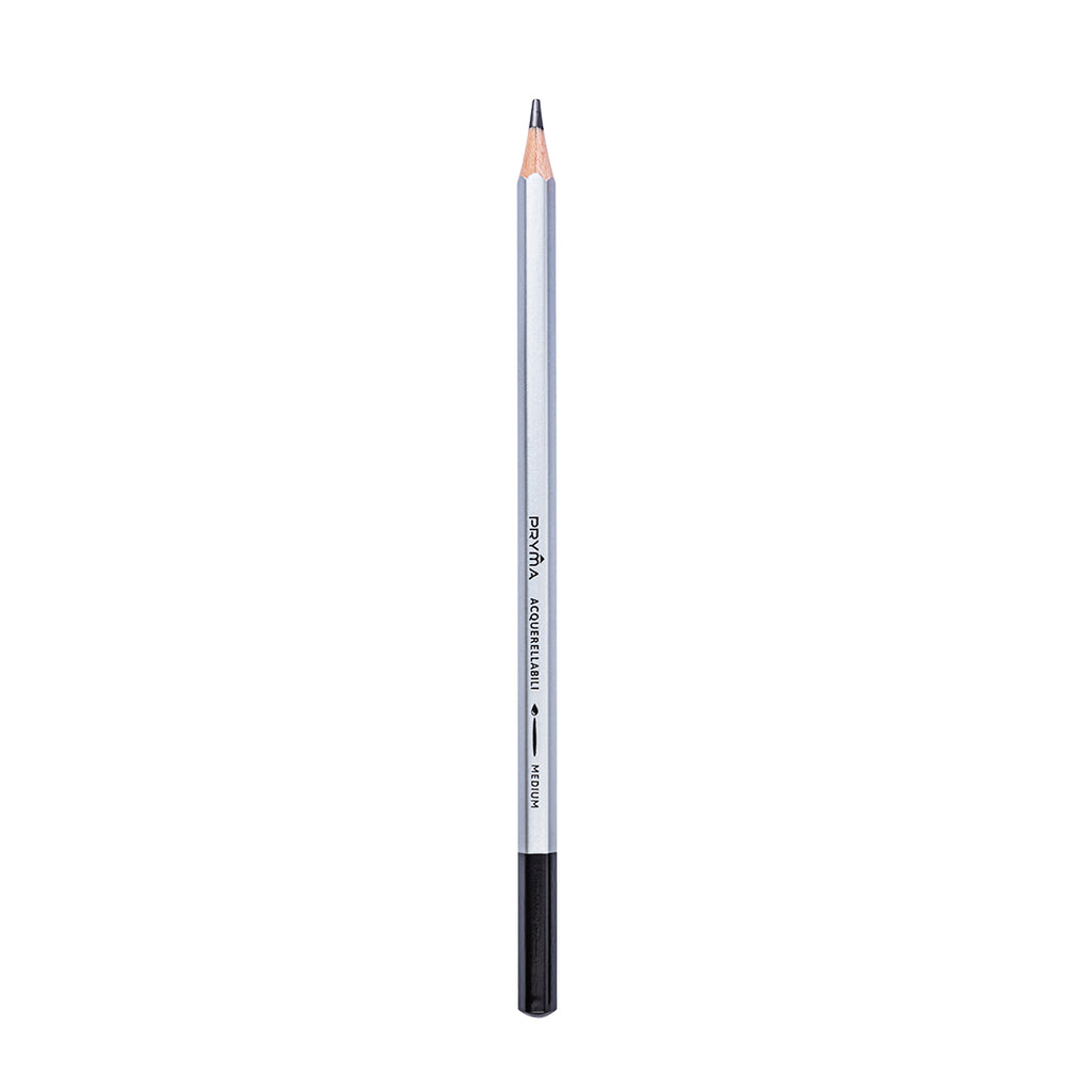 Set Matite Acquerellabili Con Brush 4 pz